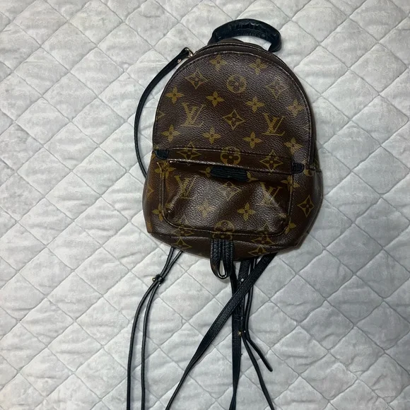 Louis Vuitton Palm Springs Backpack 2021 - Picture 1 of 3